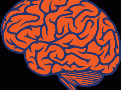 The Voice Inside Mr. Willet’s&nbsp;Head